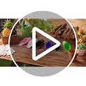 6 Pcs Plastic Soil Scoop for Bonsai Indoor Plants, Color 3 - view 7