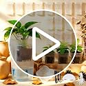 16 Pack Upgrade 2" Small Self Watering Pots for Indoor Plants - view 7