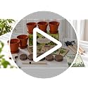 Herb Garden Kit, Indoor Herb Garden Starter Kit with Pots & Herb Seeds, Beautiful Gift Box, Gardening Gift for Women & Mom, Birthday, Christmas & Housewarming - view 7