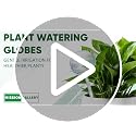 Clear Plant Watering Globes Set of 2, Large - Glass Self Watering Globes - view 7