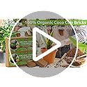 6pcs Organic Coco Coir Bricks, Natural Coconut Coir for Plants - view 7