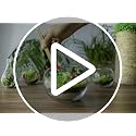 Terrarium Starter Kit | Moss, Vermiculite, Soil, Pebbles, Plant Food, Finishing Tools, Build and Care Guide | DIY Succulent Terrarium for Adults and Kids (Large) - view 7