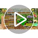 2 Pack Coco Chips for Plants- 2.2lb Organic Coconut Husk Potting Mix - view 7