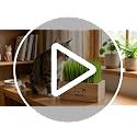 Cat Grass Kit for Indoor Cats - 5 Packets of Seeds, Cat Grass Planter Wooden Growing Kit, 5-Time Plant Starter Pack with 6 Soil Discs, Trimming Scissors, Spray Bottle, and Mini Tools - view 7