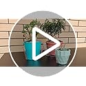10 Pieces of 12 Inch Clear Thin Deep Plastic Plant Saucer Drip Tray for Pots (12'') - view 4