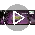 Seed Starter Trays with 12-LED Grow Lights, Green, 5 Pack - view 7