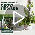 Plastic Moss Poles mesh kit,Plant Poles for Climbing Plants,Plastic Moss Pole Sheets with Different Height,Plant Stakes for Indoor,11.8in×10.8ft Plastic mesh Stackable Works with Sphagnum Moss - view 7