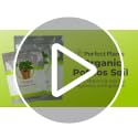 Organic Pothos Soil, 4 qt, Indoor Coco Coir Mix - view 7