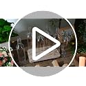 6 Sets Plant Watering Devices 6 Pcs Self Watering Spikes 6 Pcs 25 oz Plastic Bottles Slow Release Automatic Waterer Empty Liquor Bottles Terracotta Spikes for Vacation Plant (Ceramic Color) - view 7