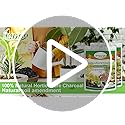 2 QT Horticultural Charcoal- Natural Biochar Soil Amendment - view 7