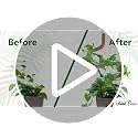 30 Inches Bendable 2 Pack Moss Pole Monstera Plant Support Stakes - Moss Poles for Climbing Plants, Plant Stakes for Indoor Plants - Coco Coir Pole Moss Stick for Monstera, Pothos. - view 7