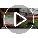 Coco Coir Pith, 4 Bricks Expand to 9 Gallons of Coconut Coir, Coconut Fiber - view 6