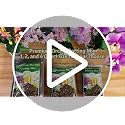 Orchid Potting Mix, 1 Quart Premium Orchid Bark Mix for Orchid Repotting - view 7