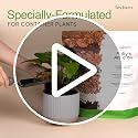 Molly's Aroid Potting Mix, Chunky Soil-Free for Indoor Plants, 3 Dry Quarts - view 7