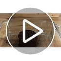 Potting Soil for Indoor/Outdoor Plants, Expands to Fit 3 Inch and 4 Inch Pots - 12 Pack - view 7