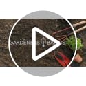 Survival Seed Vault Kit, Vegetable Seeds for Planting - view 7