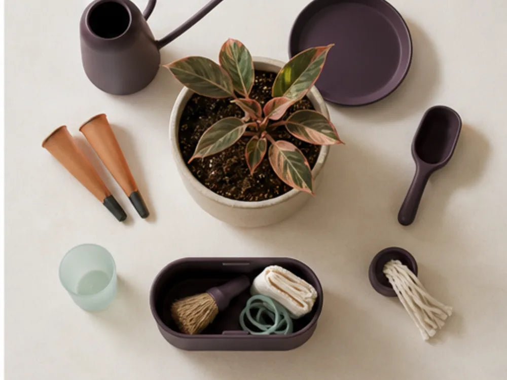 Top-down care station organized around a clear landing place for one pot