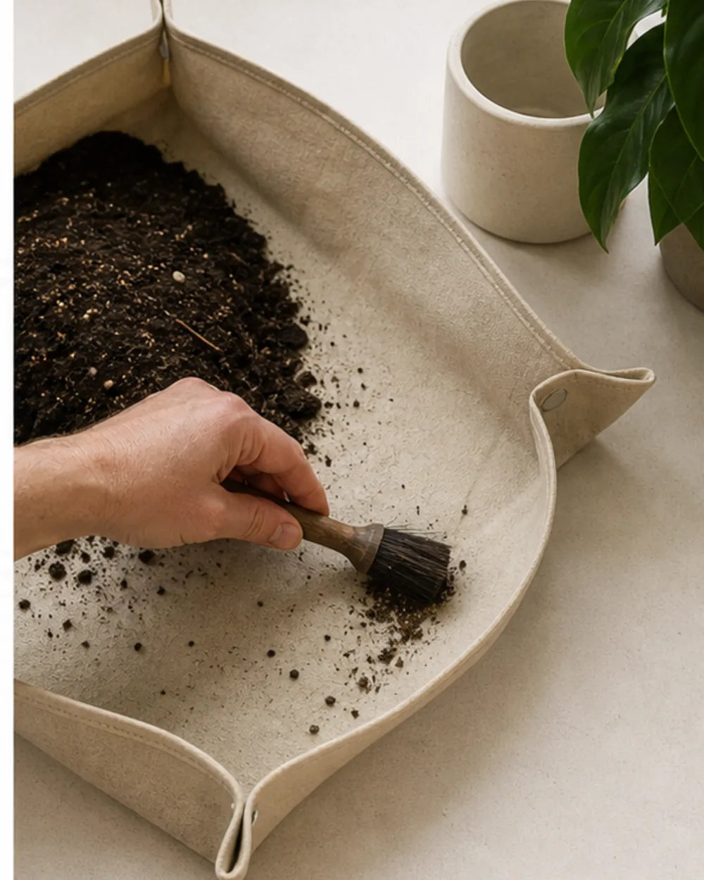 A Three-Move Reset After Repotting
